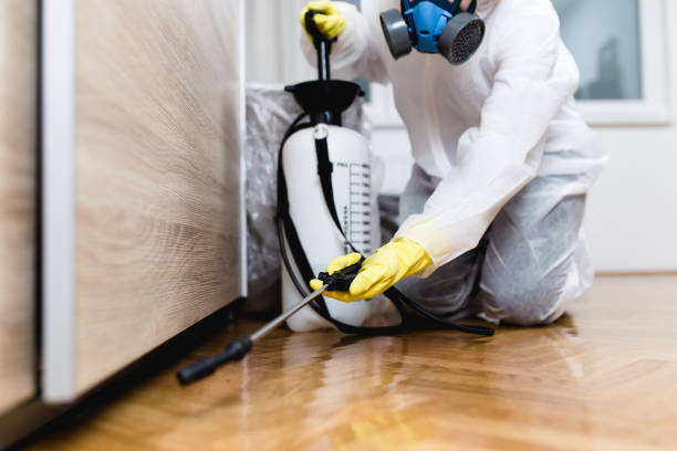  Albany, MO Pest Control Pros