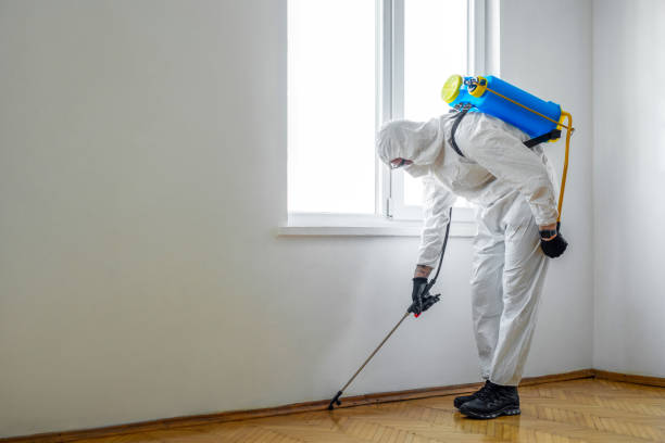 Professional Pest Control in Albany, MO