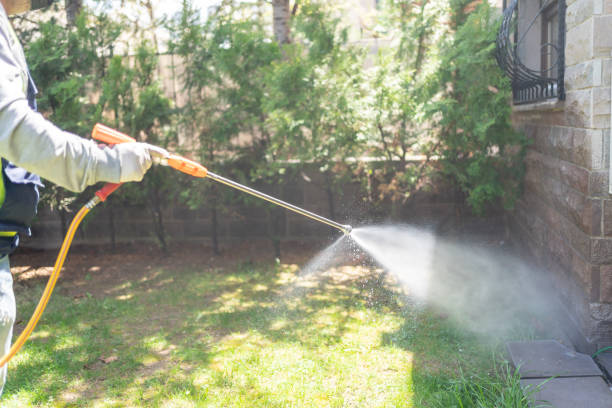 Best Spider Control Near Me  in Albany, MO