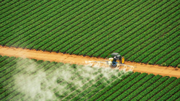 Best Commercial Pest Control Services  in Albany, MO